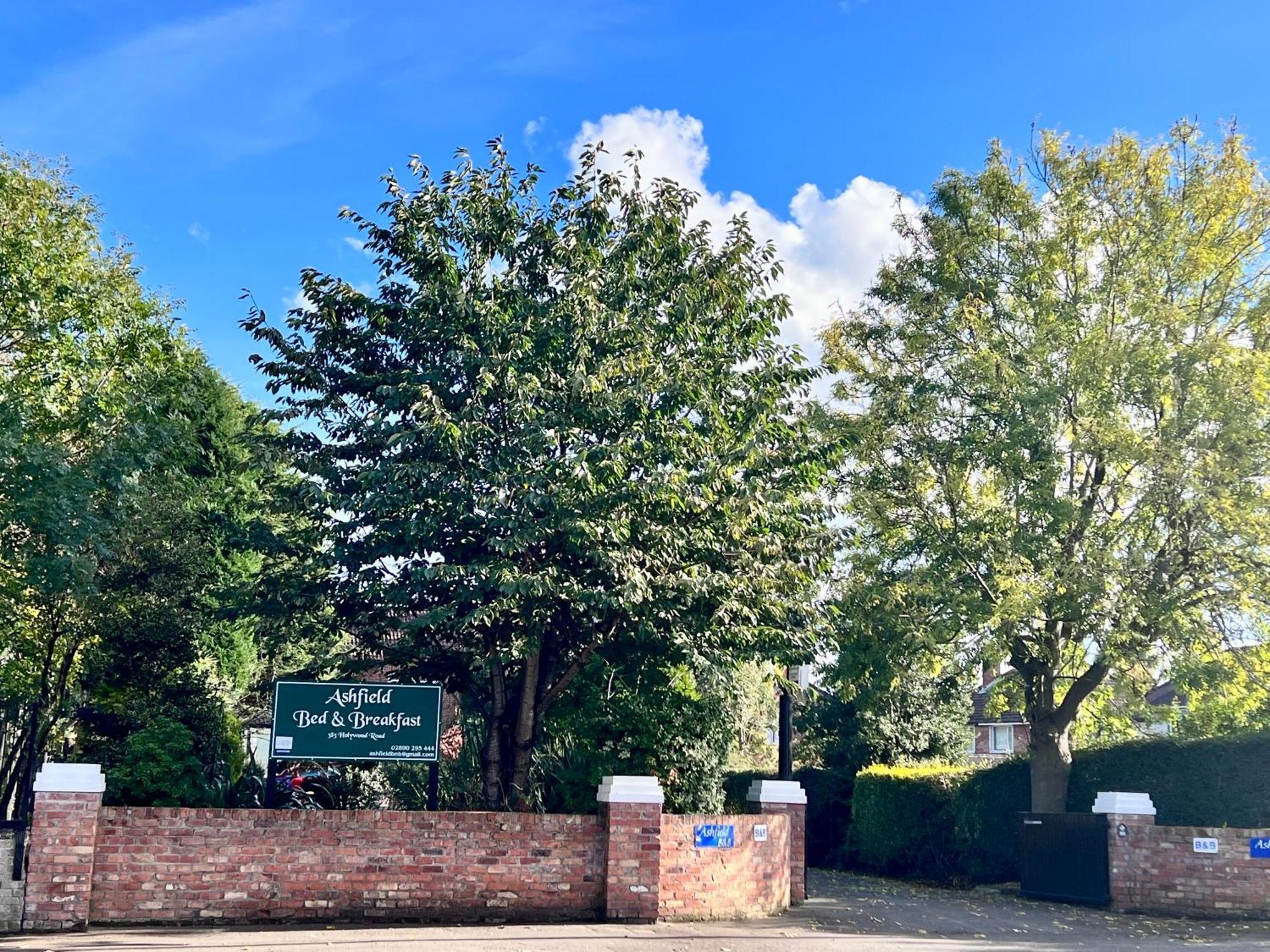 Ashfield Bed & Breakfast Belfast Kültér fotó