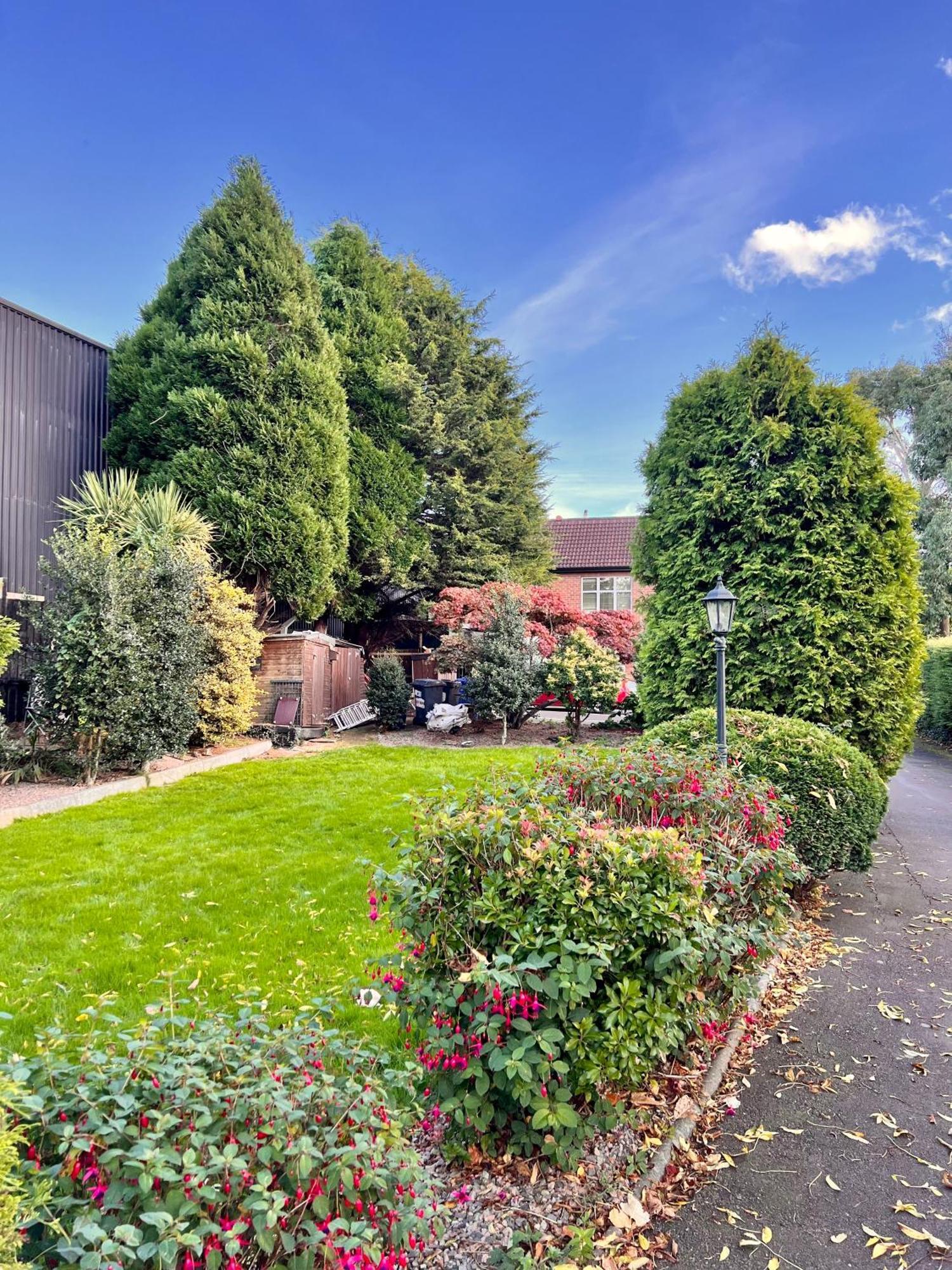 Ashfield Bed & Breakfast Belfast Kültér fotó